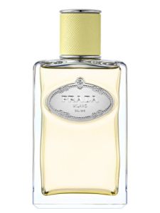 Prada Infusion de Gingembre