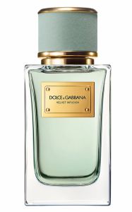 Dolce & Gabbana Velvet Infusion