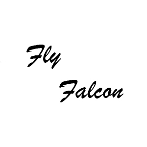 Fly Falcon Pure Touch Homme Limited - купить туалетную воду, парфюмерные  духи в интернет-магазине по низкой цене в Москве, отзывы об аромате в  Альфа-Парфюм